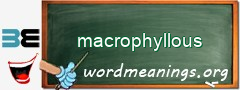 WordMeaning blackboard for macrophyllous